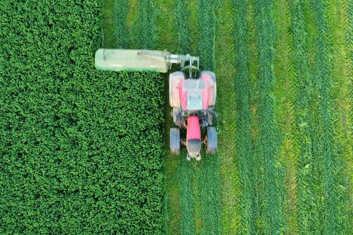 Top-down view of a red zero-turn lawn mower mowing along a hedge with striped lawn patterns