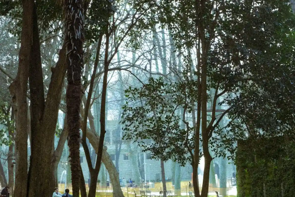 Park scene with tall trees and a distant group of people, sunlight filtering through foliage.