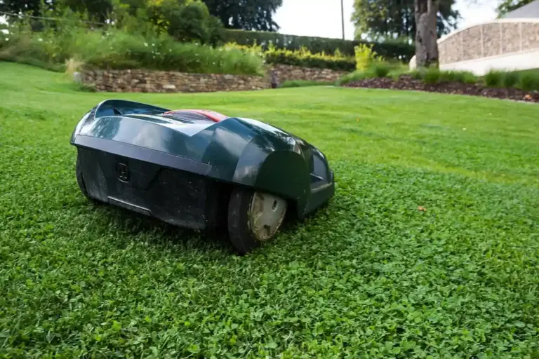 Robotic lawn mower on a green lawn